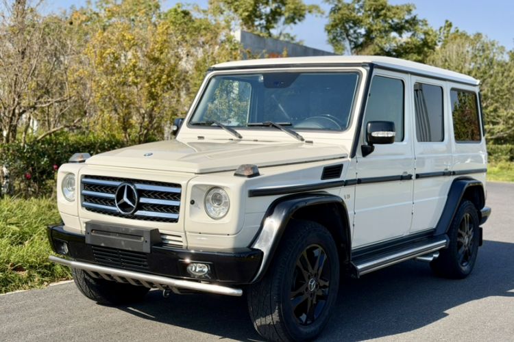 Used Mercedes-Benz G-Class 2010 G 500
