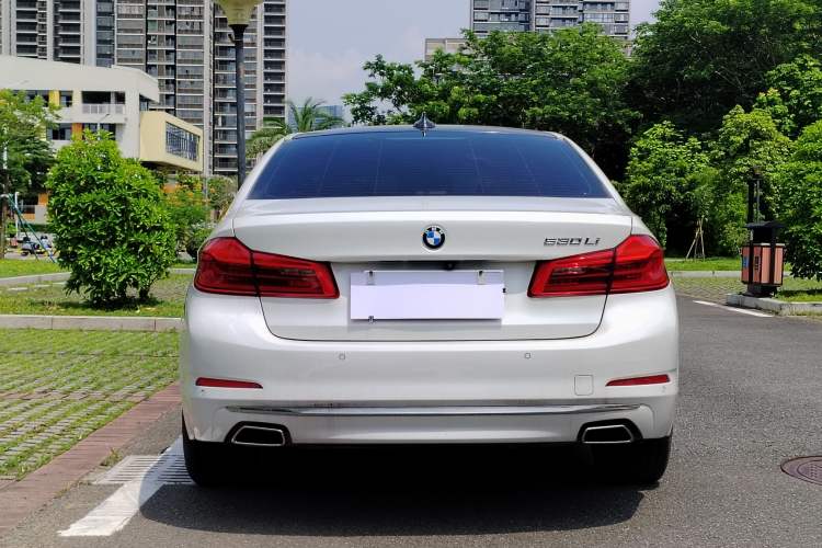 Used BMW 5 Series 2019 530Li Luxury Edition Premium Package
