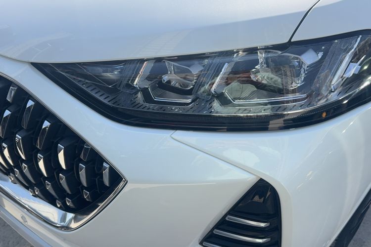 Used Wey Mocha 2021 2.0T Four-Wheel Drive Premium Edition
