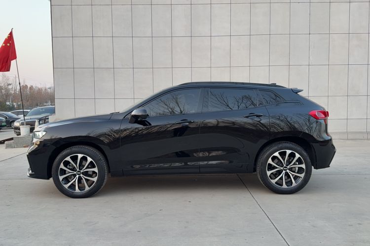 Used Wey VV7 2020 2.0T Ultra-Luxury Version
