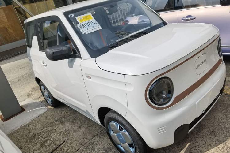 Used  Panda 2024 Panda Mini 200km Endurance Bear
