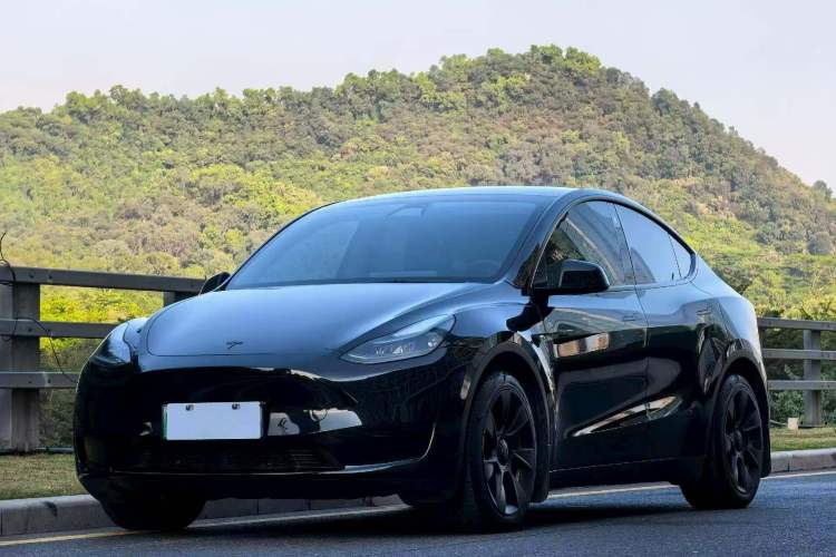 Used Tesla Model Y 2022 Rear-Wheel-Drive Version