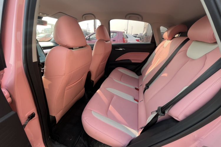 Used NETA V 2022 Chao 400 Lite Pink Custom Edition