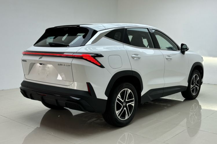 Used  Shanhai L6 2024 1.5TD DHT MAX
