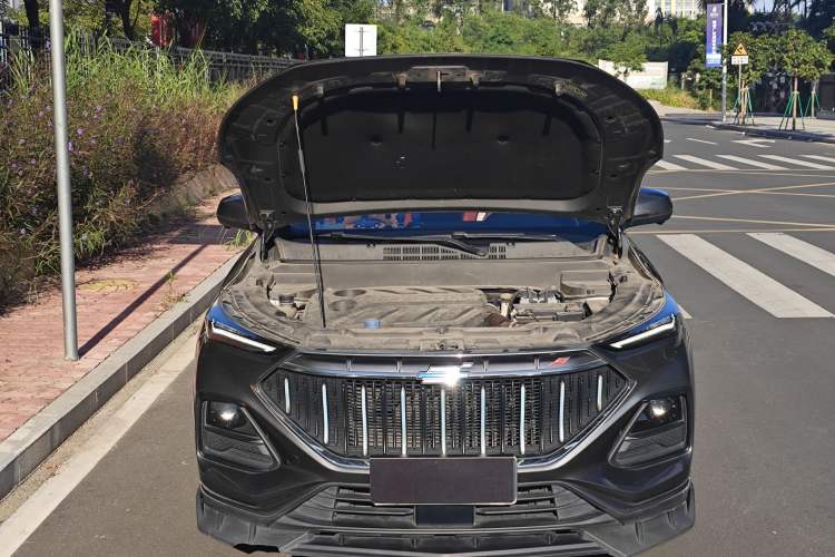 Used Oshan X5 2021 1.5T DCT Flagship Edition
