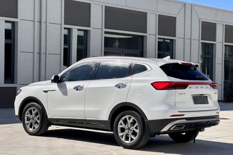 Used Haval H6 2021 National Trend Edition 1.5T Automatic Champion Version
