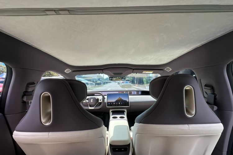 Used  06 2025 Max Extended-Range Edition
