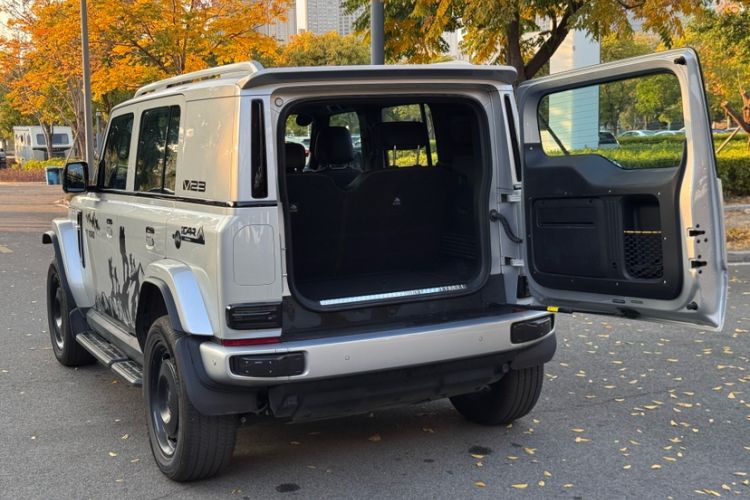 Used  V23 2025 401 Two-Wheel Drive Intelligent Driving Version