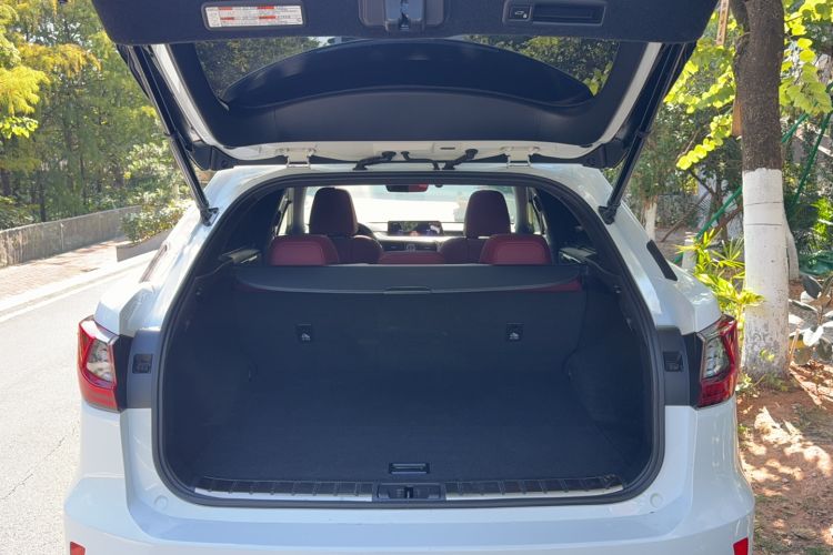 Used Lexus RX 2016 300 4x4 F SPORT Version China V Standard
