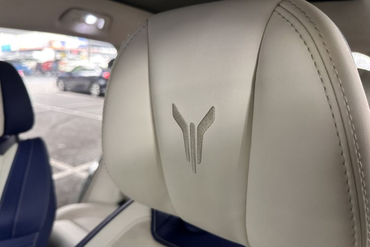 Used VOYAH FREE 2021 Four-Wheel Drive Standard All-Electric Exclusive Luxury Package
