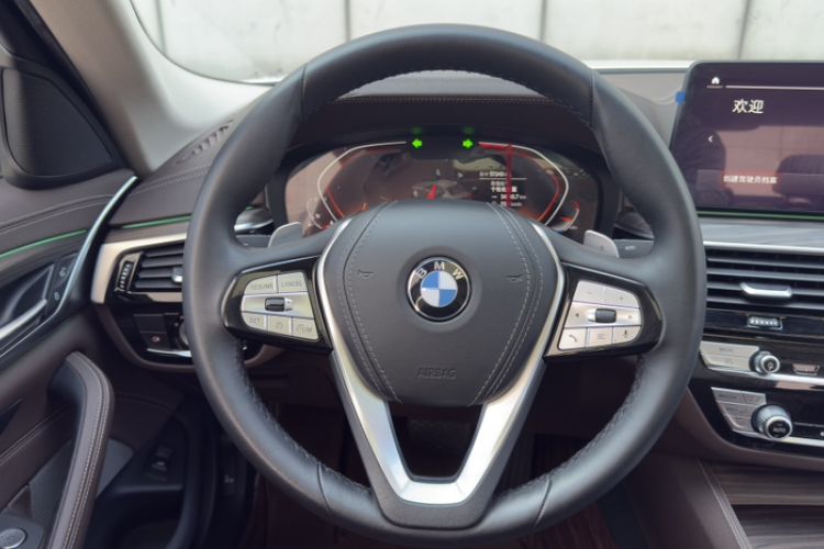 Used BMW 5 Series 2021 530Li Leading Luxury Package