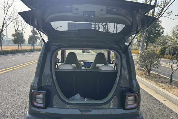 Used  Panda 2025 210km Panda Rider
