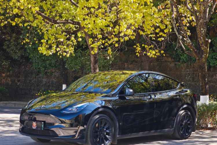 Used Tesla Model Y 2022 Rear-Wheel-Drive Version