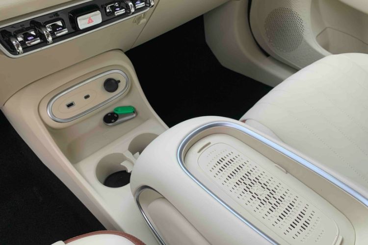 Used ORA Good Cat 2023 401 km Standard Range Luxury Version Lithium Iron Phosphate