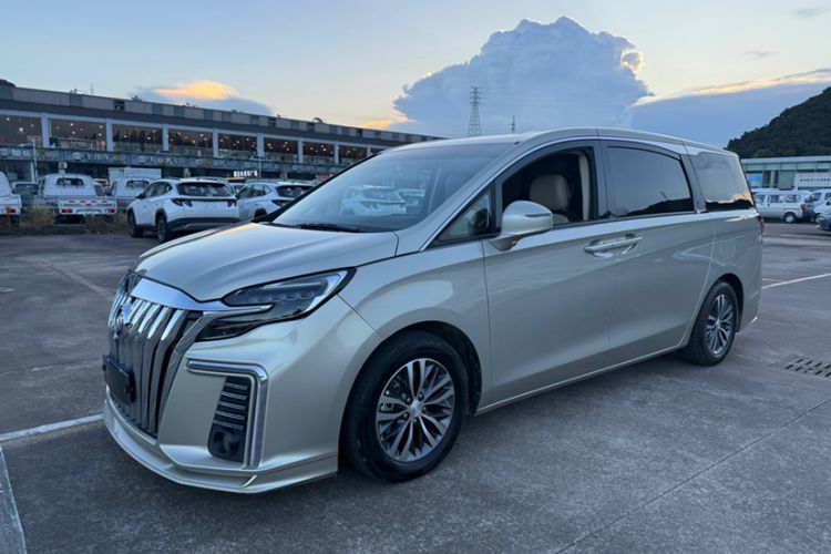 Used Buick GL8 2022 ES Landtrek 653T Comfort Edition
