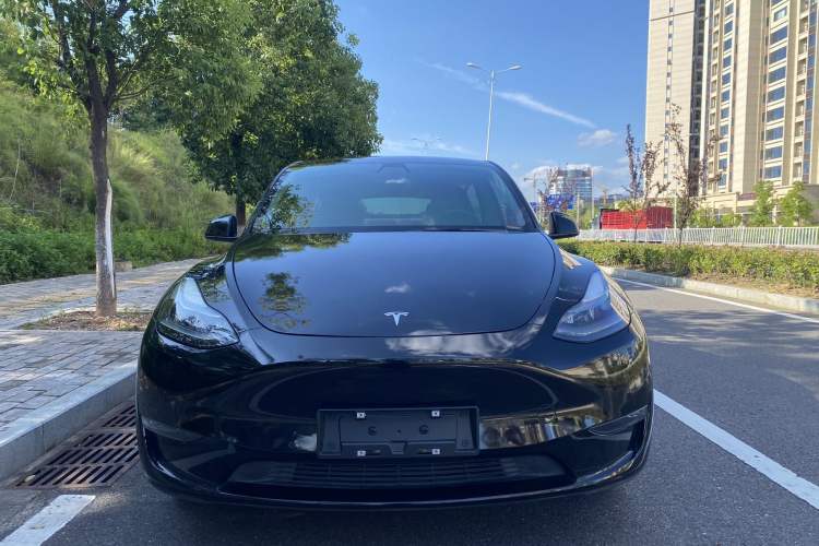 Used Tesla Model Y 2021 Standard Range Rear-Wheel Drive Version
