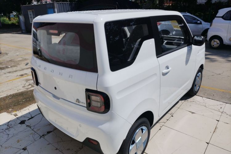 Used  Panda 2024 Panda Mini 200km Endurance Bear
