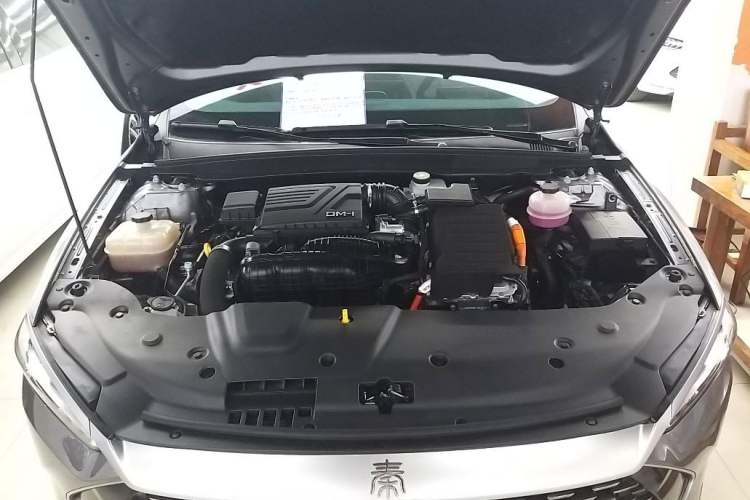 Used BYD Qin PLUS 2023 Champion Edition DM-i 55KM Superior Model
