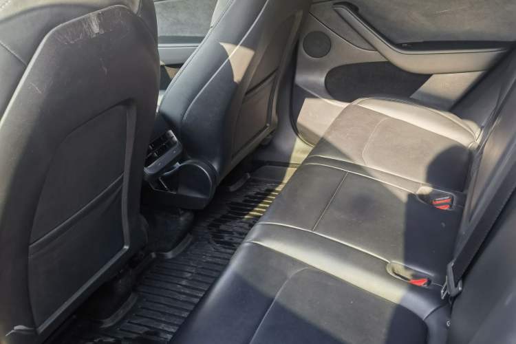 Used Tesla Model Y 2021 Standard Range Rear-Wheel Drive Version
