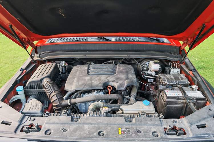 Used Tank 300 2021 Off-Road Edition 2.0T Conqueror