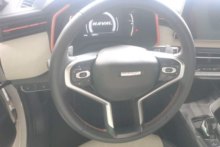 Used Haval LHERY 2021 High-Performance Version 1.5T Golden Rabbit
