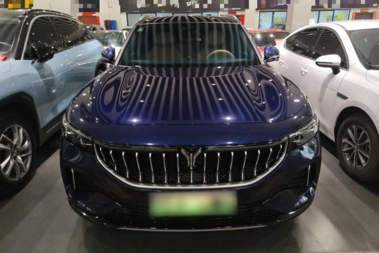 Used VOYAH FREE 2021 Four-Wheel Drive Standard Range-Extended Exclusive Luxury Package
