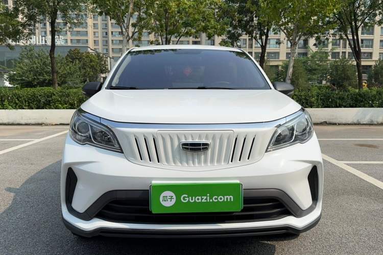 Used Geometry EX3 Kung Fu Cow 2021 Tough Bull Cow
