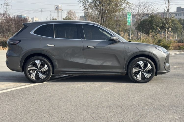 Used  E5 2024 530km Starship Edition
