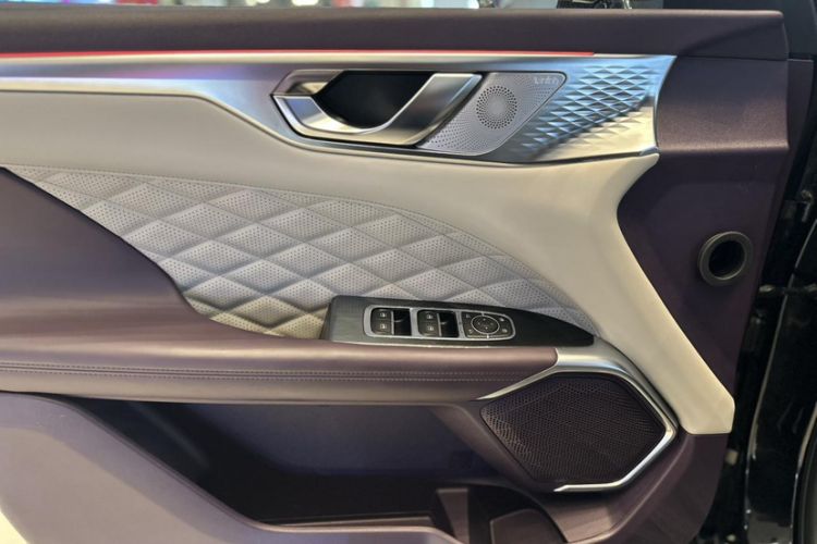 Used Wey Mocha 2021 2.0T Two-Wheel-Drive Premium Edition
