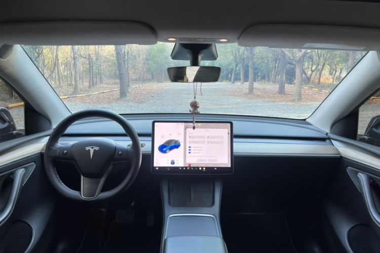 Used Tesla Model Y 2021 Standard Range Rear-Wheel Drive Version
