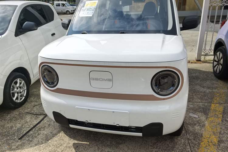 Used  Panda 2024 Panda Mini 200km Endurance Bear
