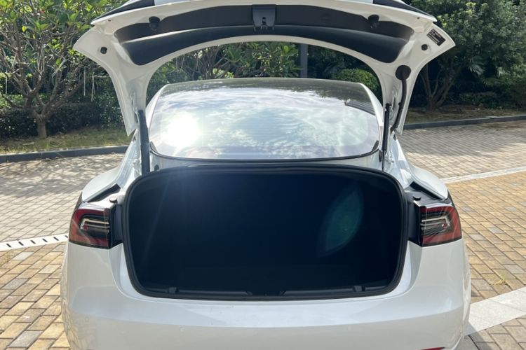 Used Tesla Model 3 2021 Revised Version Standard Range Rear-Wheel Drive Upgraded Edition 3D1