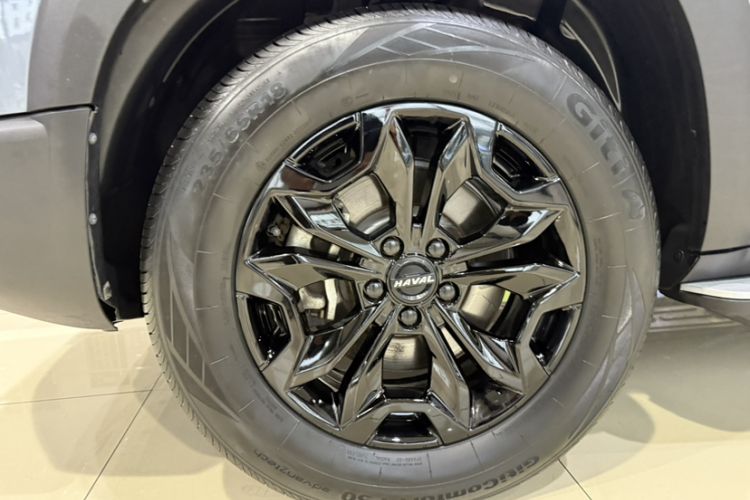 Used Haval DARGO 2021 2.0T DCT 4x4 Chinese Rural Dog Edition
