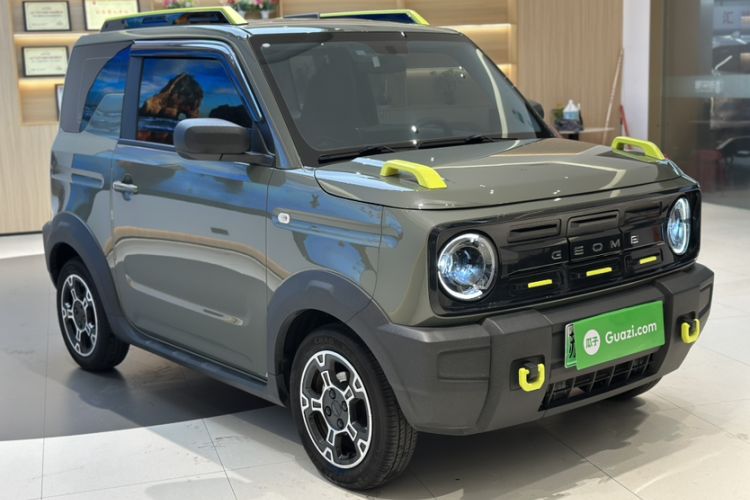 Used  Panda 2024 200km Panda Rider
