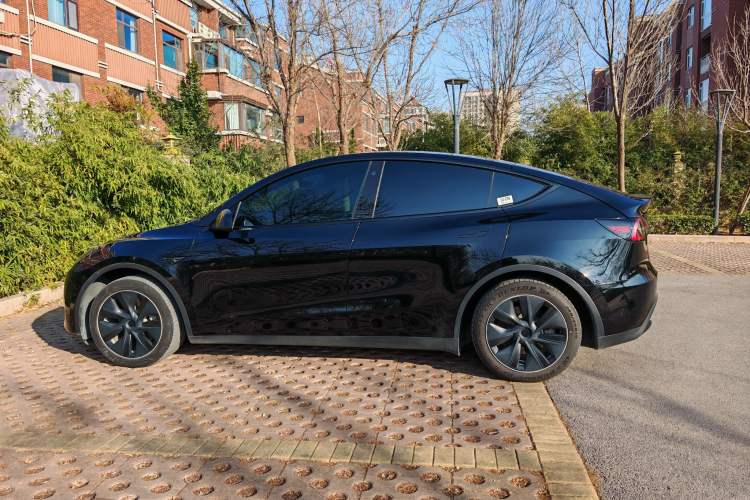 Used Tesla Model Y 2021 Standard Range Rear-Wheel Drive Version
