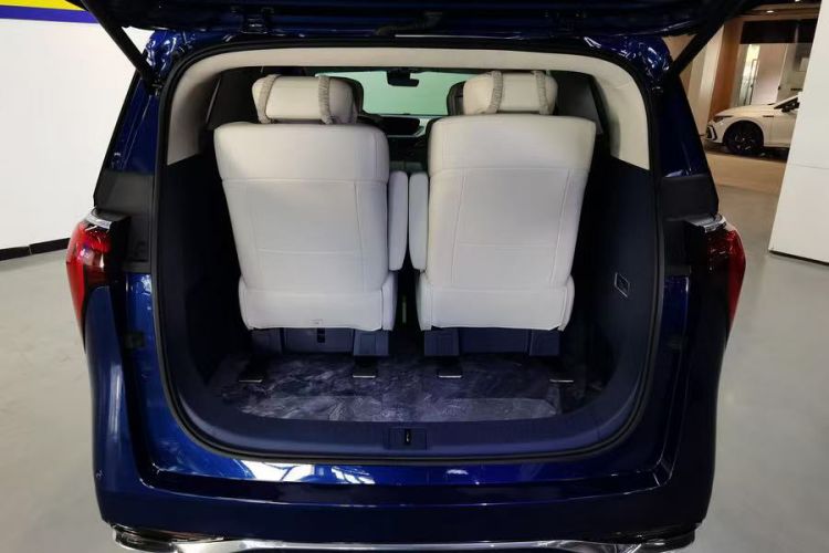 Used Buick Century 2023 2.0T Six-Seater Yinshi Edition
