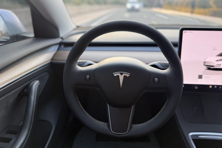 Used Tesla Model 3 2022 Rear-Wheel-Drive Version
