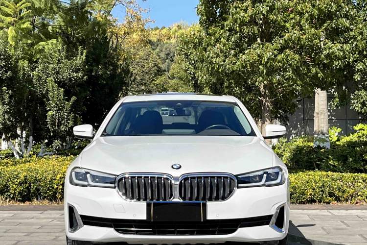 Used BMW 5 Series 2021 530Li Leading Luxury Package