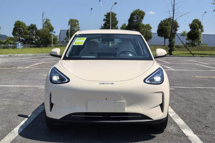 Used  Geome 2025 310km Dream Edition
