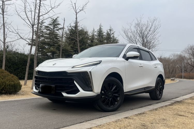 Used FORTHING T5 EVO 2024 Kungbiao Edition 1.5TD DCT Platinum Model