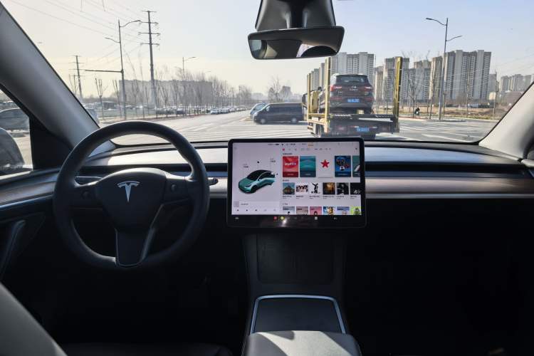 Used Tesla Model Y 2021 Standard Range Rear-Wheel Drive Version
