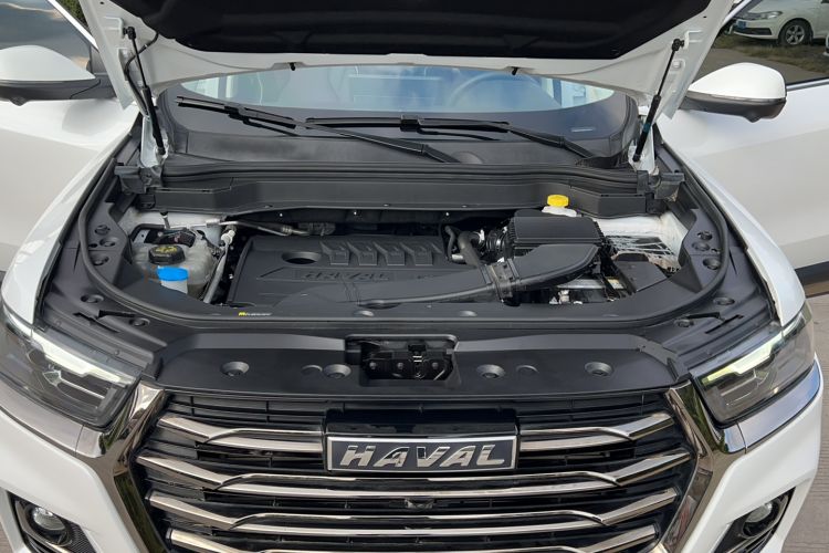 Used Haval H6 2021 National Trend Edition 1.5T Automatic Champion Version
