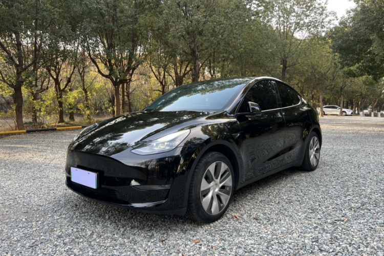 Used Tesla Model Y 2021 Standard Range Rear-Wheel Drive Version
