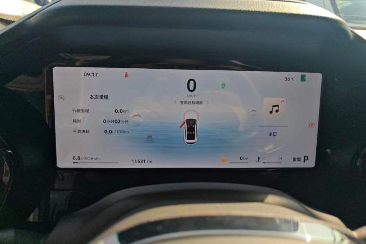 Used Geely Auto Monjaro L 2024 2.0TD DCT EVO Two-Wheel Drive Long-Range Version
