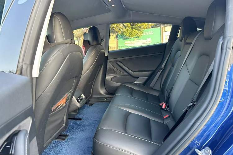 Used Tesla Model 3 2020 Revised Version Standard Range Rear-Wheel Drive – Upgraded Edition
