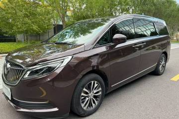Used Buick GL8 2018 ES 28T Flagship Model China VI Standard