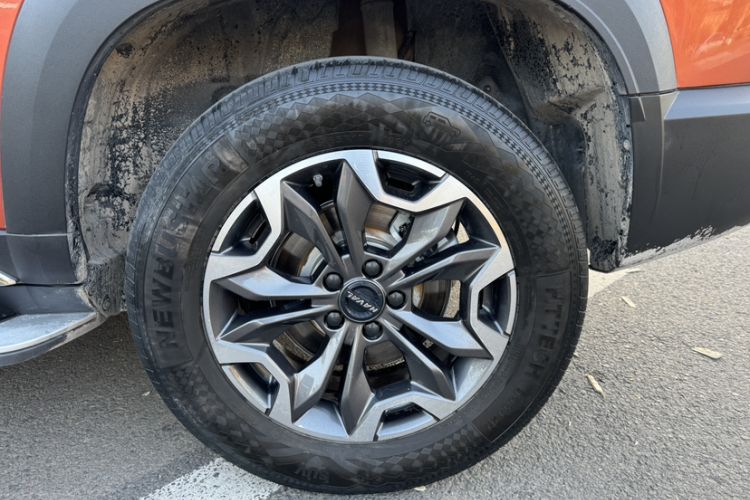 Used Haval DARGO 2021 2.0T DCT 4x4 Chinese Rural Dog Edition
