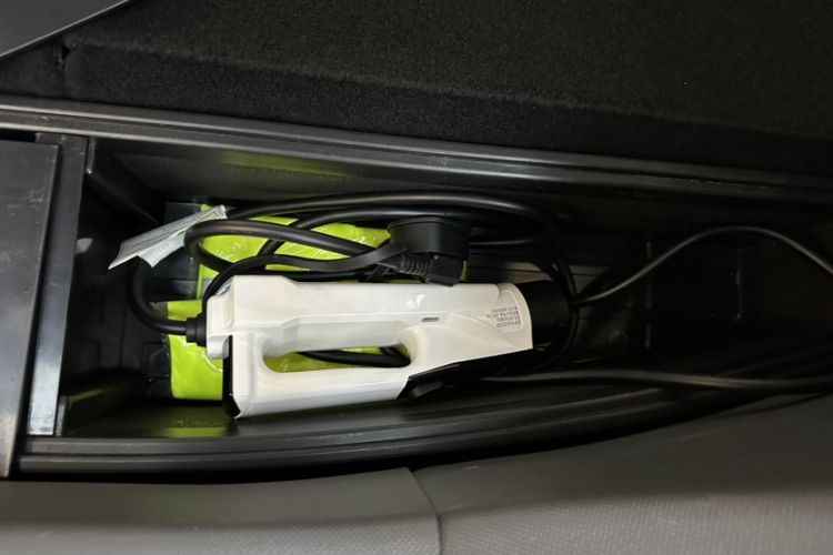 Used  Panda 2024 200km Panda Rider
