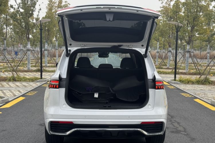 Used Geely Auto Monjaro L 2024 2.0TD High-Power Automatic Two-Wheel Drive Skyline Edition
