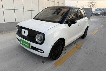 Used ORA Black Cat 2021 301 km Basic Version